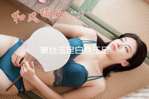 黑丝玉足白丝玉足